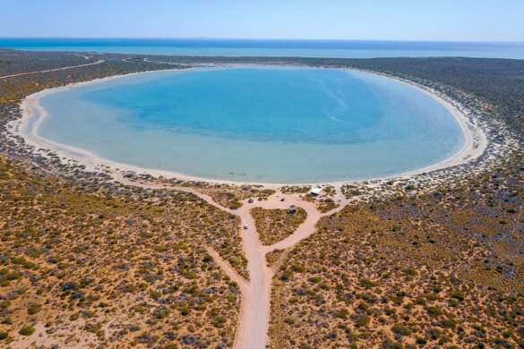 Nos 8 incontournables pour visiter Shark Bay en Australie