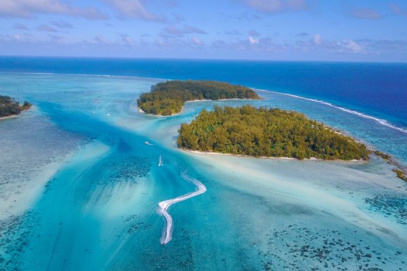 Nos incontournables pour visiter Moorea en Polynésie Française