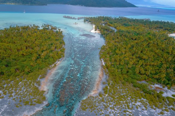 Nos incontournables pour visiter Tahaa en Polynésie Française