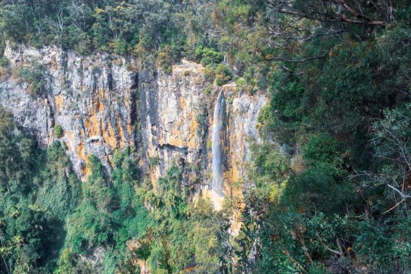 Visiter le parc national Springbrook dans le Queensland