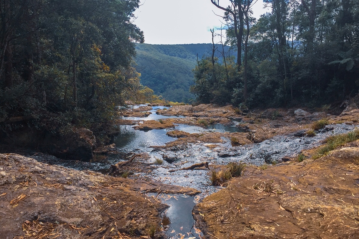 Springbrook