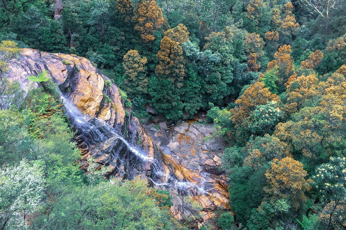 blue mountains