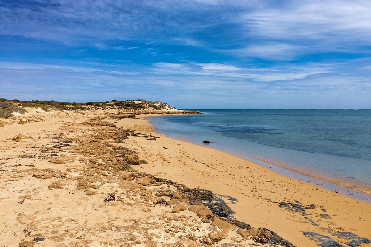 ningaloo reef