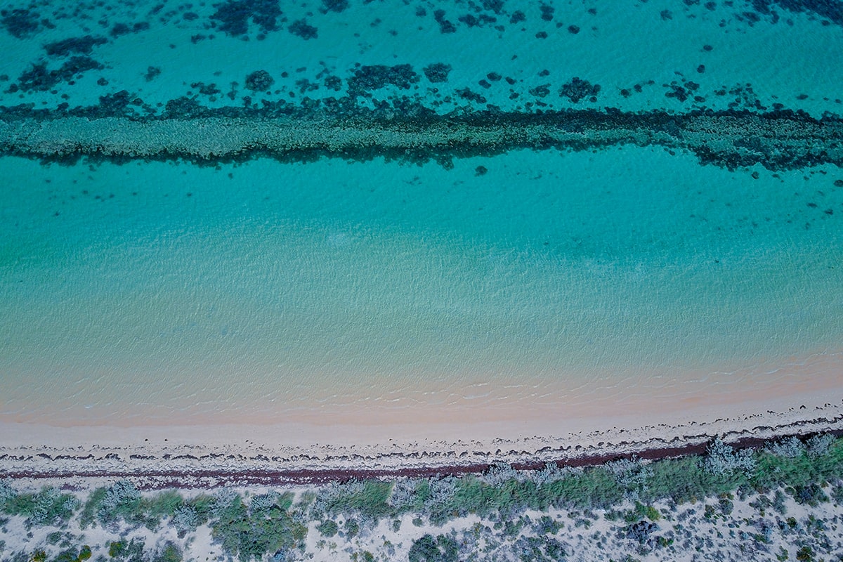 ningaloo reef