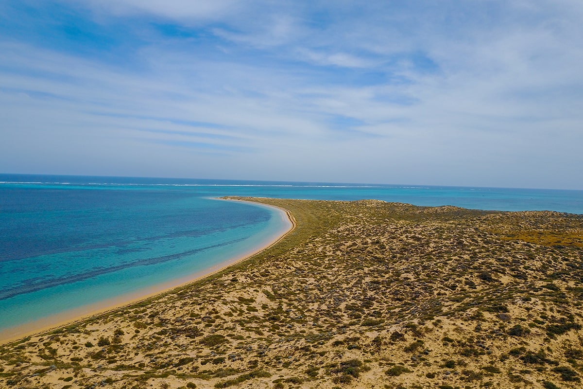 ningaloo reef