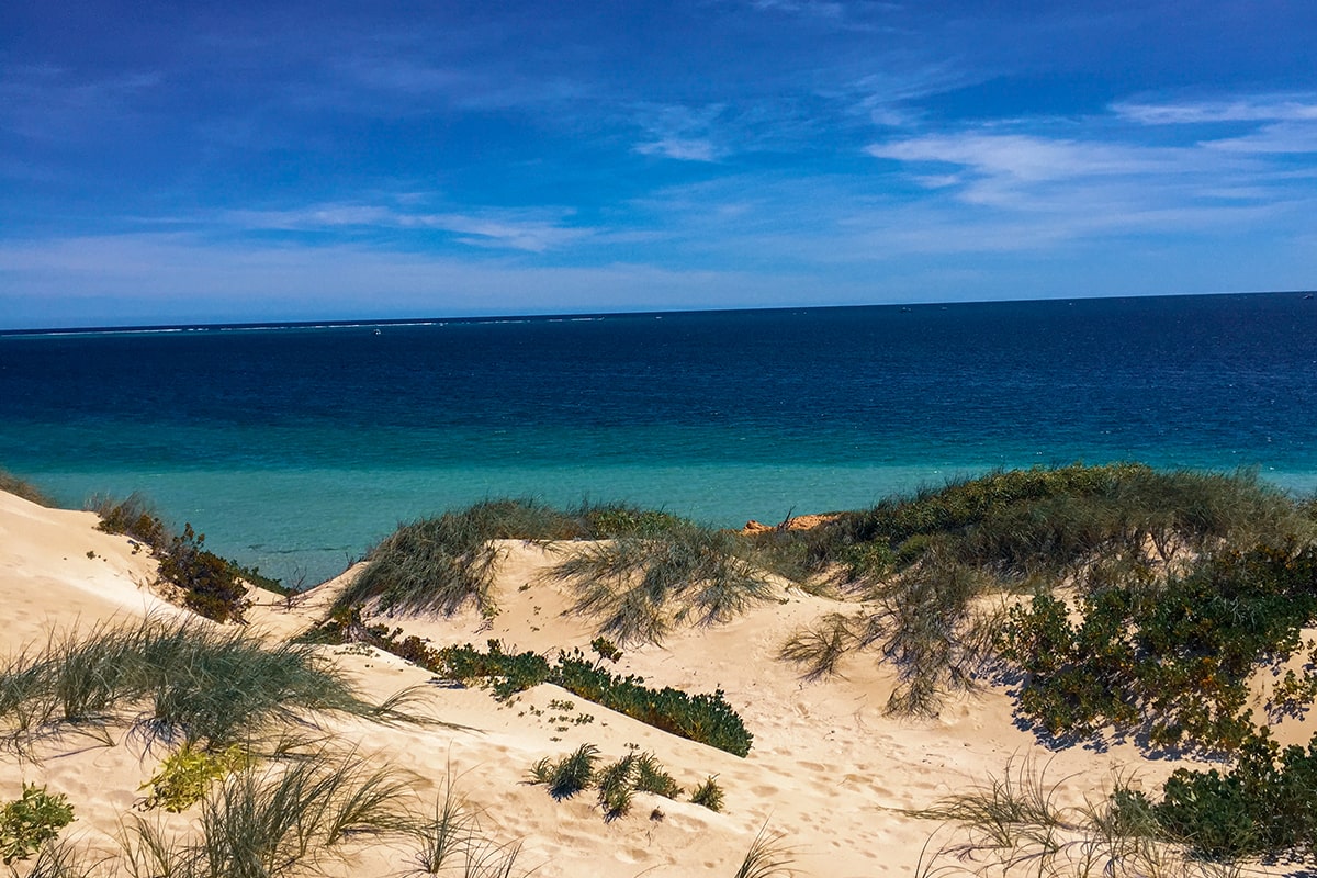 ningaloo reef