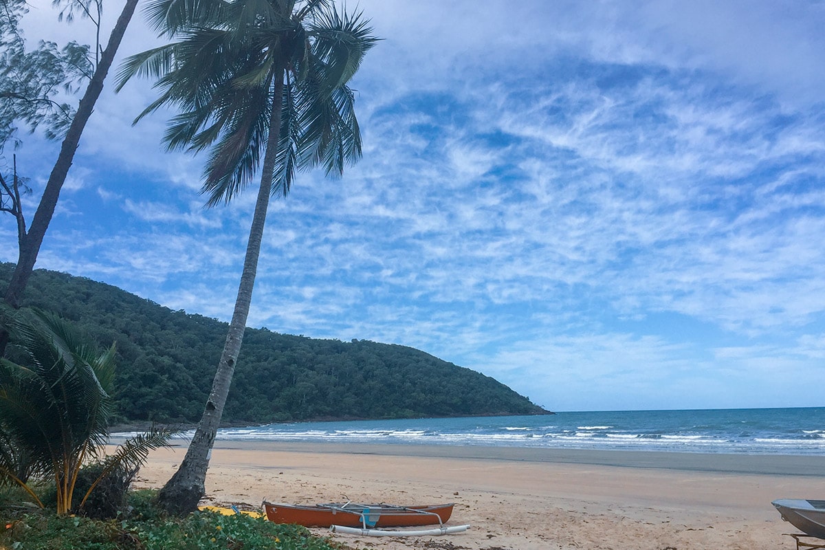 daintree forest