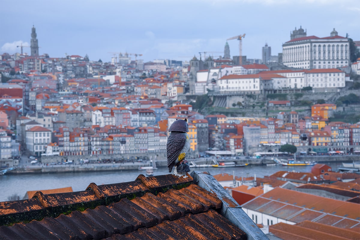 porto