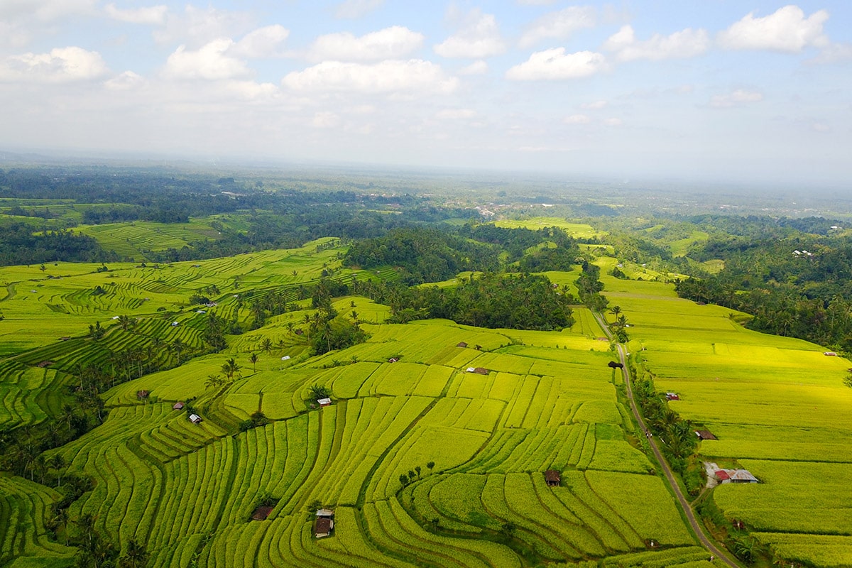 bali