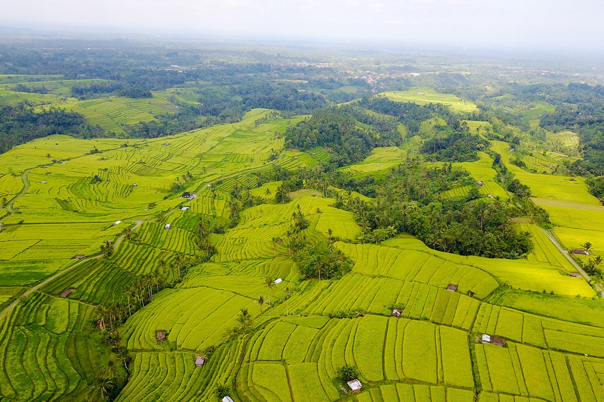 bali