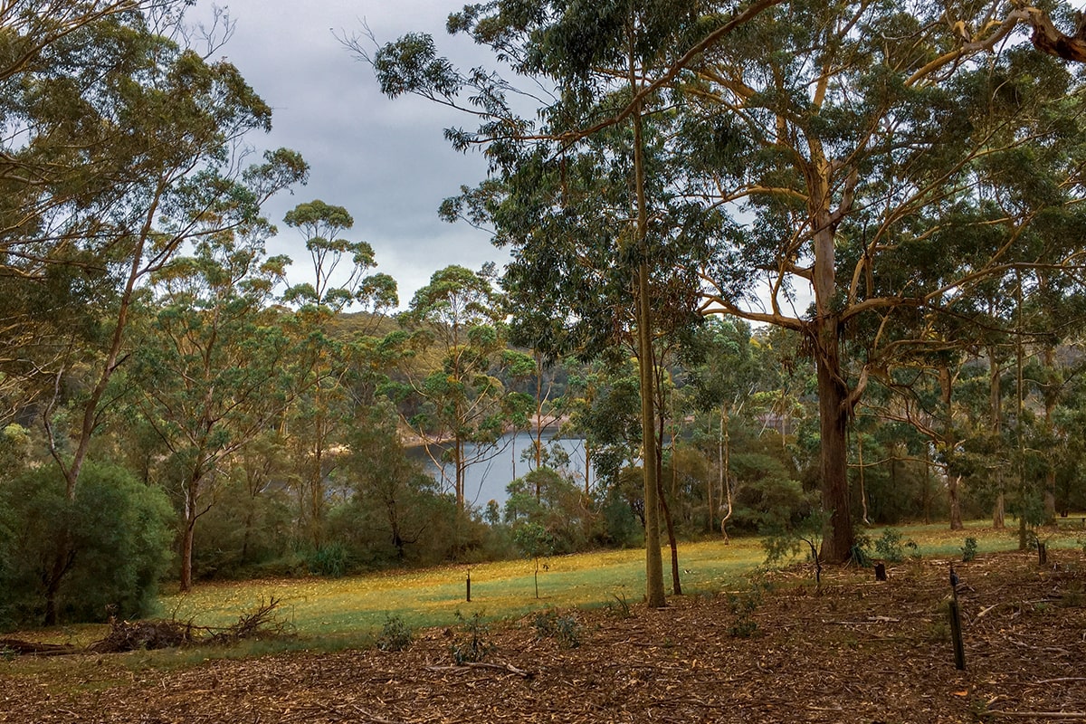 jervis bay