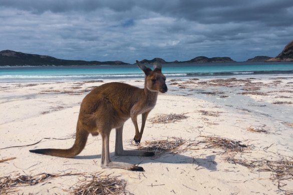 Visiter le parc national Cape Le Grand dans le Western Australia