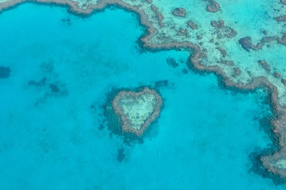 Survoler la Grande Barrière de Corail en Australie