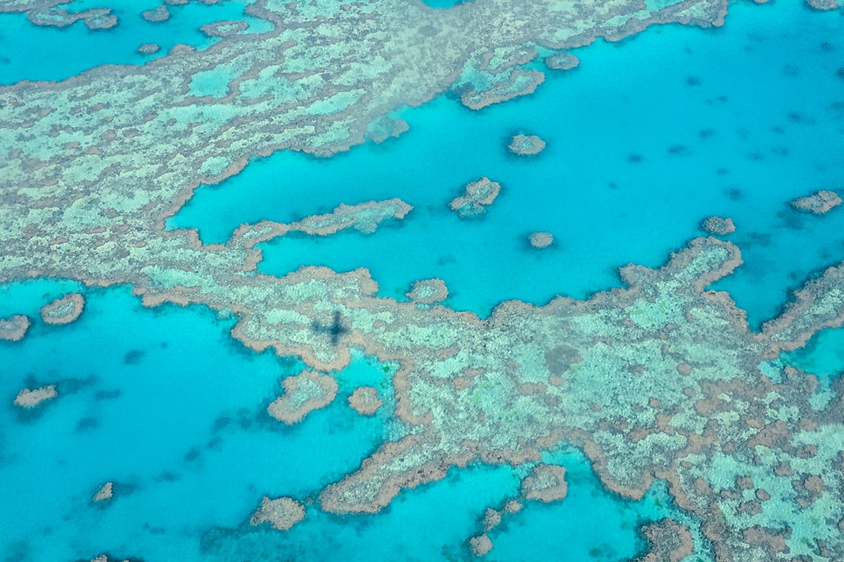 la grande barriere de corail