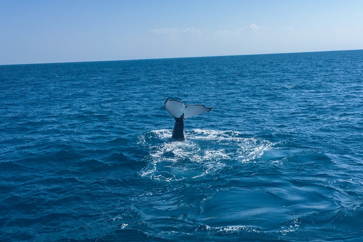 moreton island