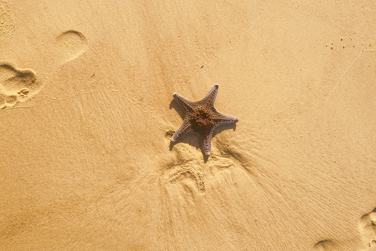 moreton island