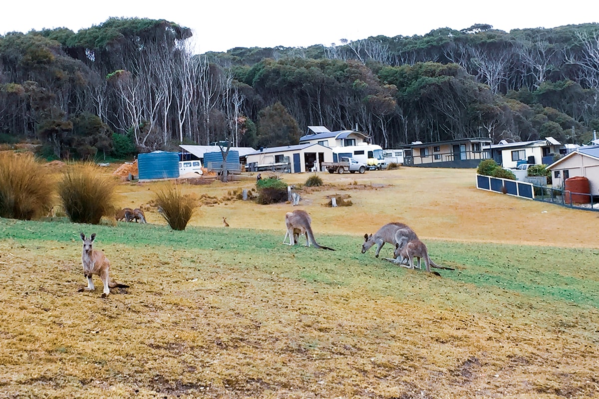 new south wales