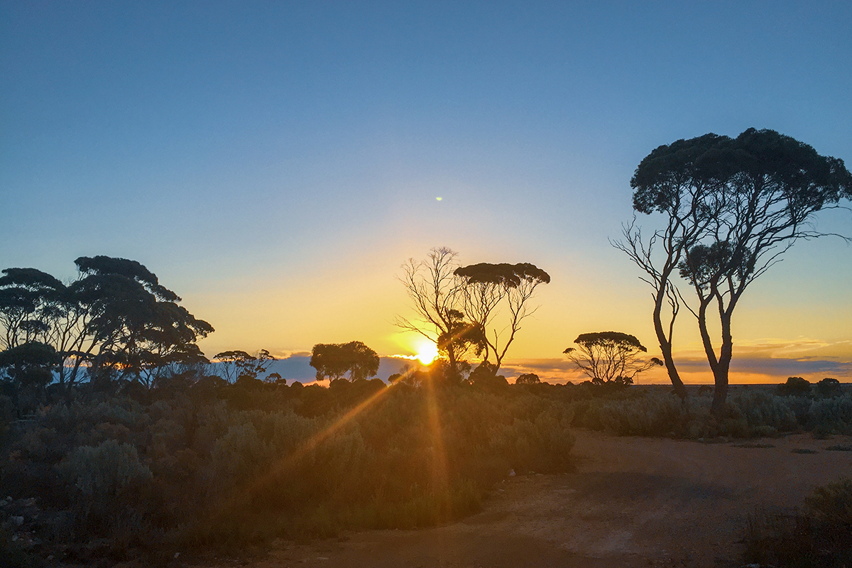 nullarbor