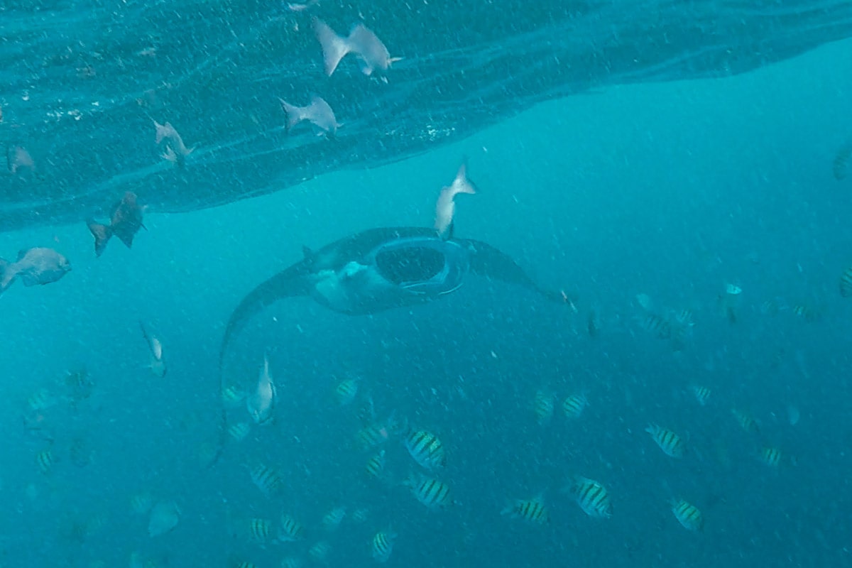 nusa penida