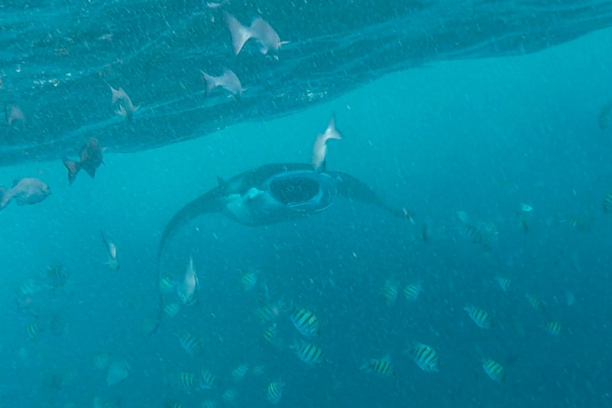 nusa penida