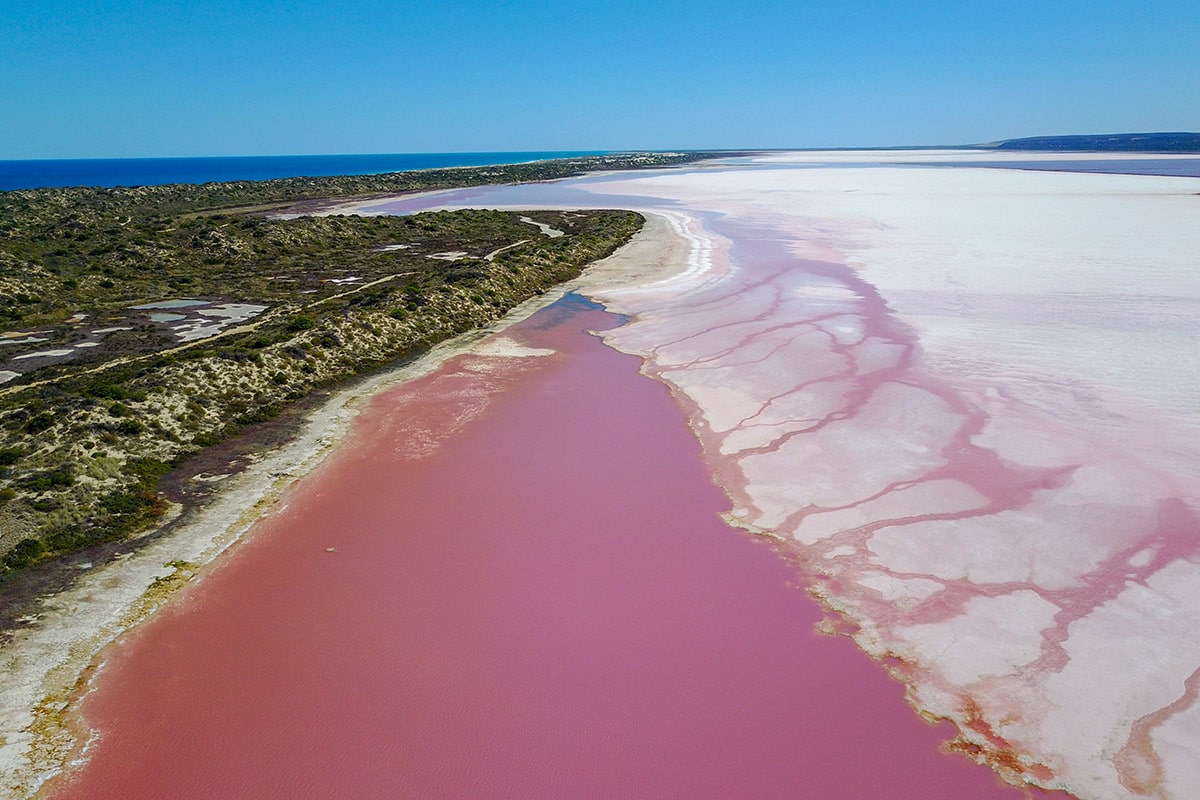 pink lake