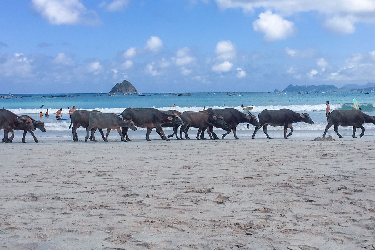 kuta lombok