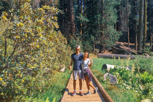 Visiter le parc national Sequoia en Californie