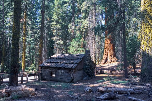 Visiter le parc national Sequoia en Californie (nos incontournables)