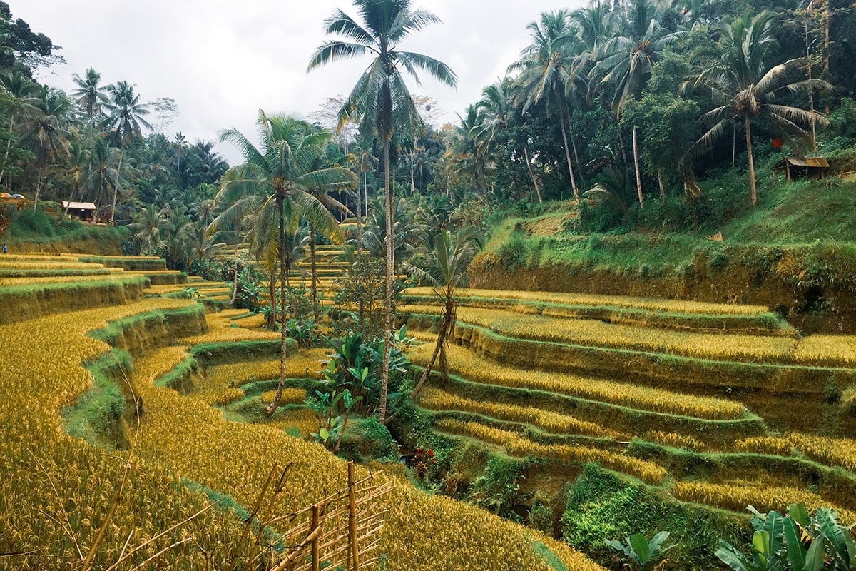 ubud