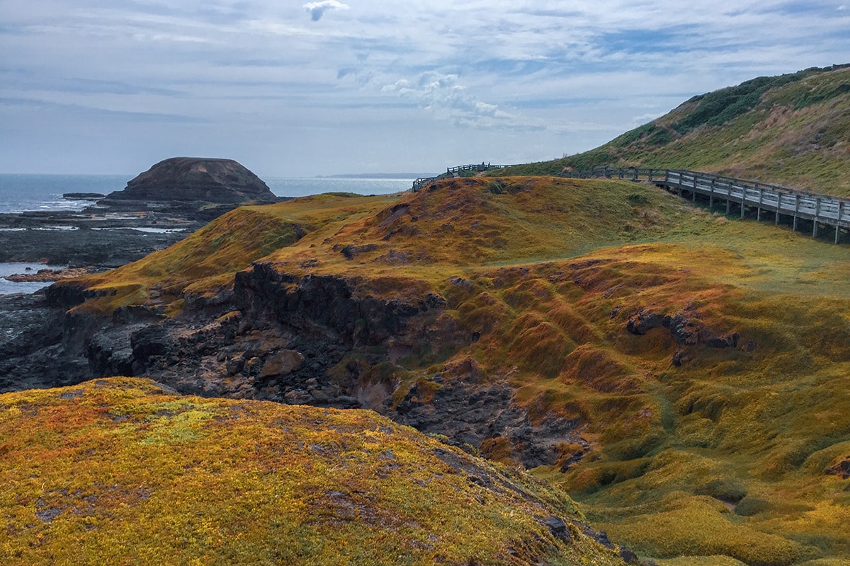 phillip island