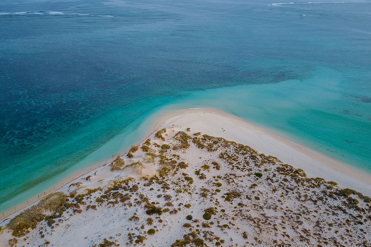 ningaloo reef