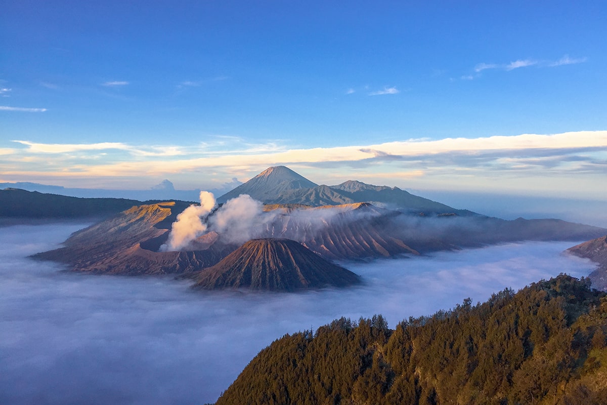 bromo