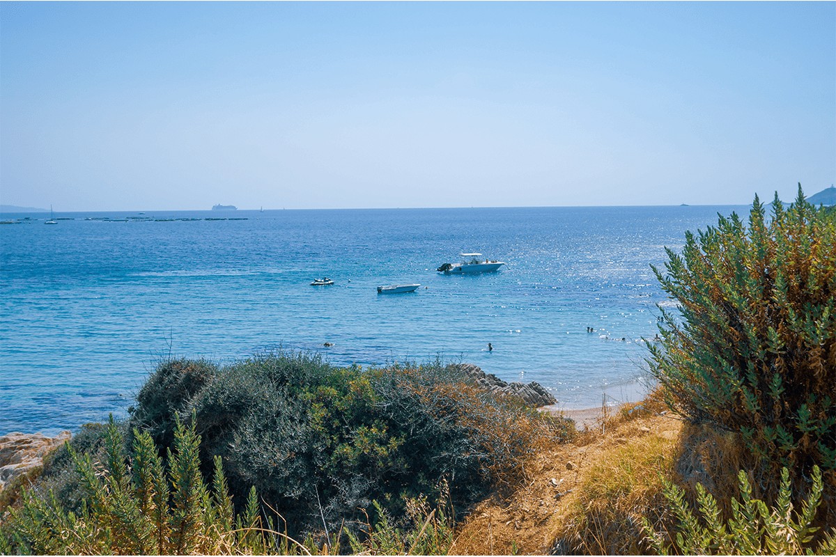 corse