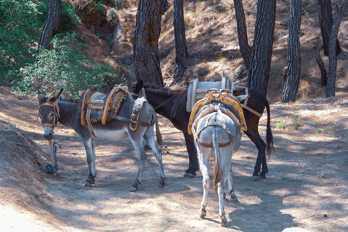 antalya