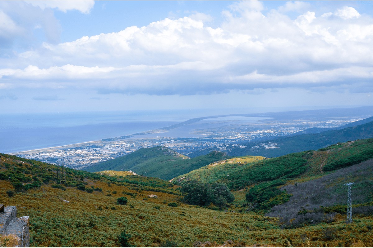 corse