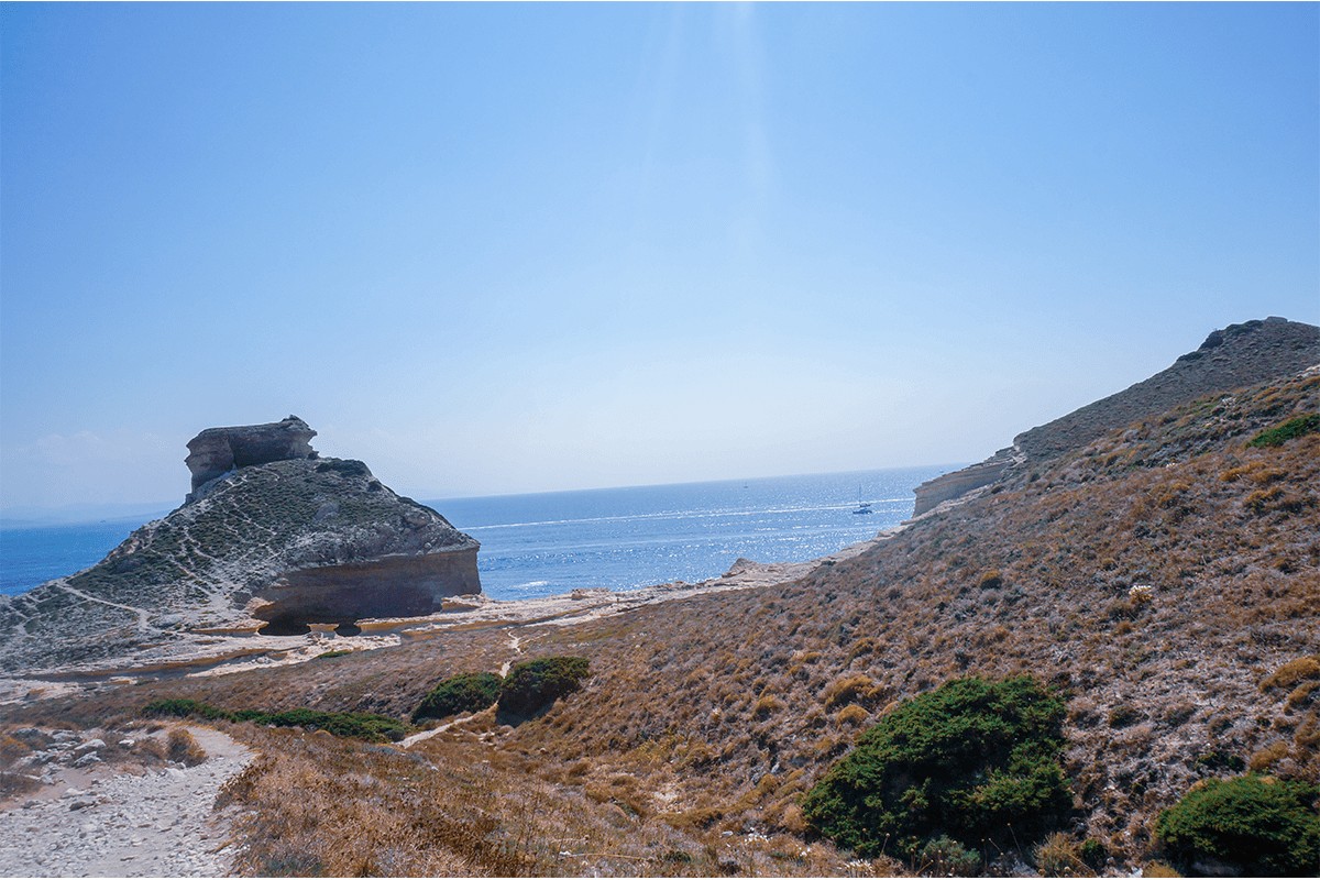 corse