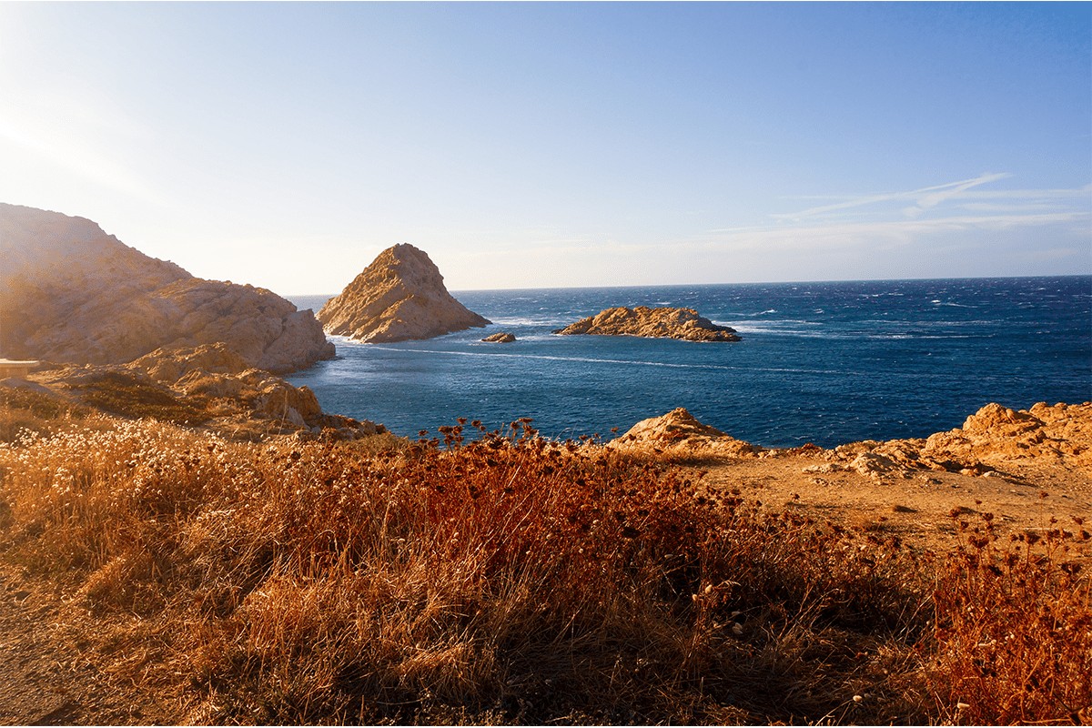 corse
