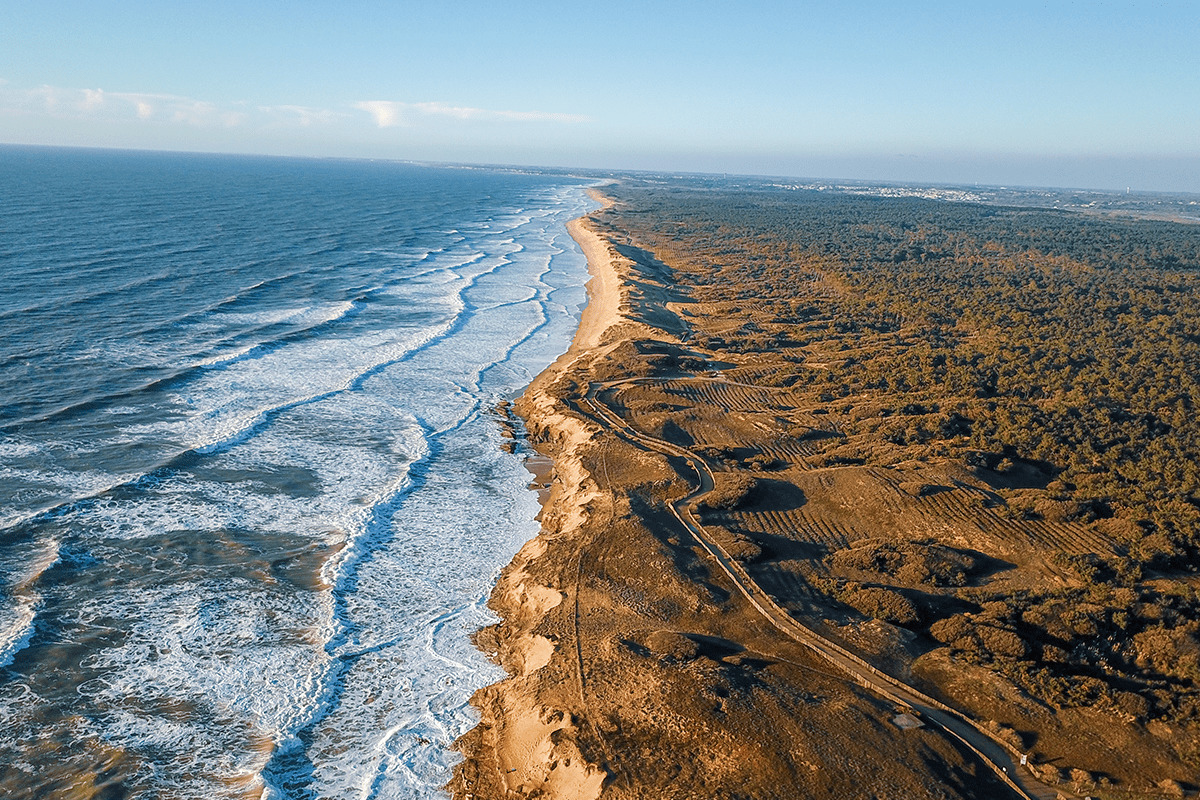 vendee