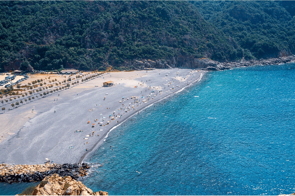 corse