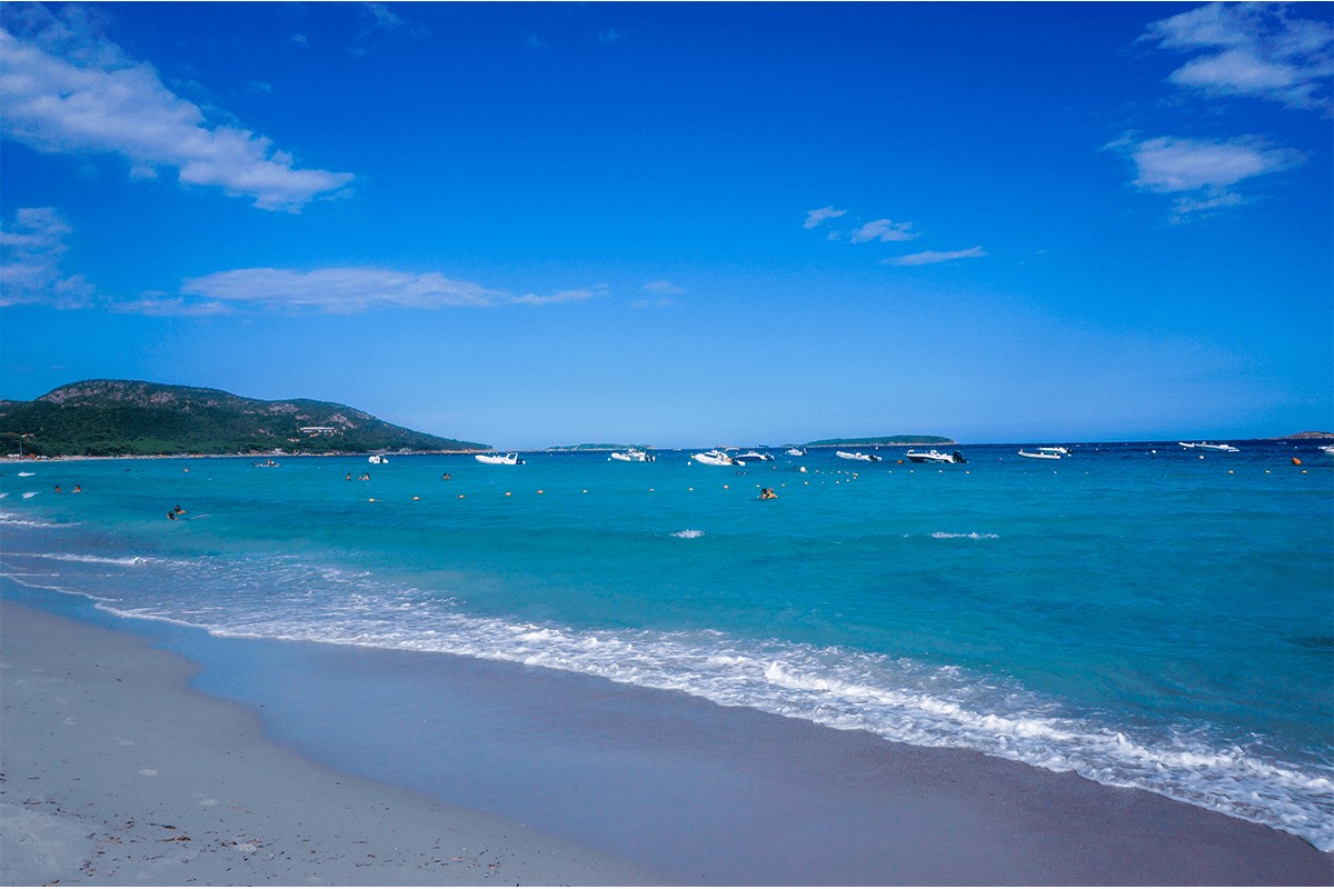 corse