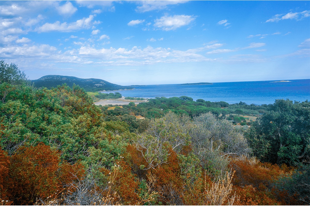 corse