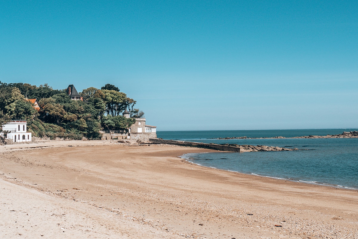 Vendée : de la mort-aux-rats découverte sur une plage sur l'île de  Noirmoutier