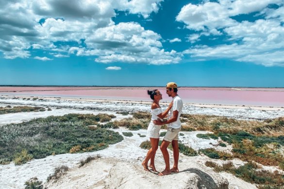 À la découverte de la nature en Camargue