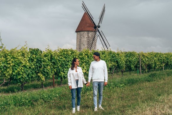 Cognac : expériences au cœur du vignoble (nos incontournables)