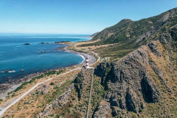 Nos incontournables pour visiter Wellington en Nouvelle Zélande