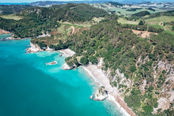 Nos incontournables pour visiter la péninsule du Coromandel