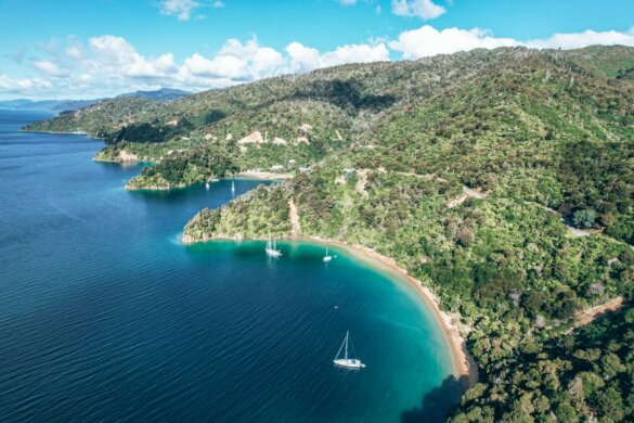 Nos incontournables pour visiter Picton en Nouvelle Zélande